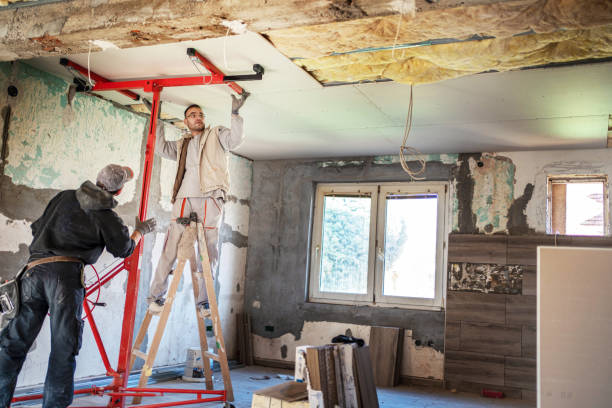 Best Insulation Maintenance and Repair in Higginsville, MO